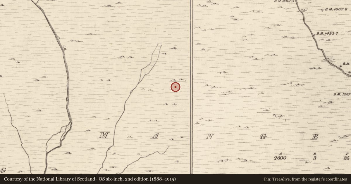 Ordnance Survey six-inch map, 2nd edition (1888–1915) covering the location of Field boundary, Mangerton, County Kerry, with a pin at the register's coordinates