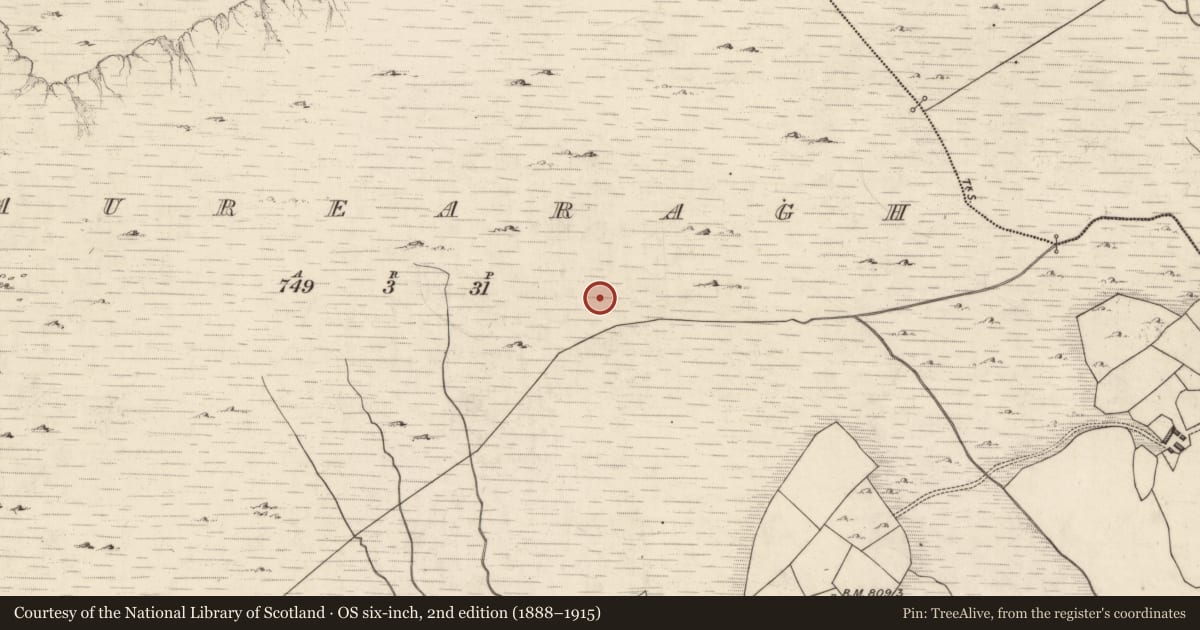 Ordnance Survey six-inch map, 2nd edition (1888–1915) covering the location of Enclosure, Baurearagh, County Kerry, with a pin at the register's coordinates