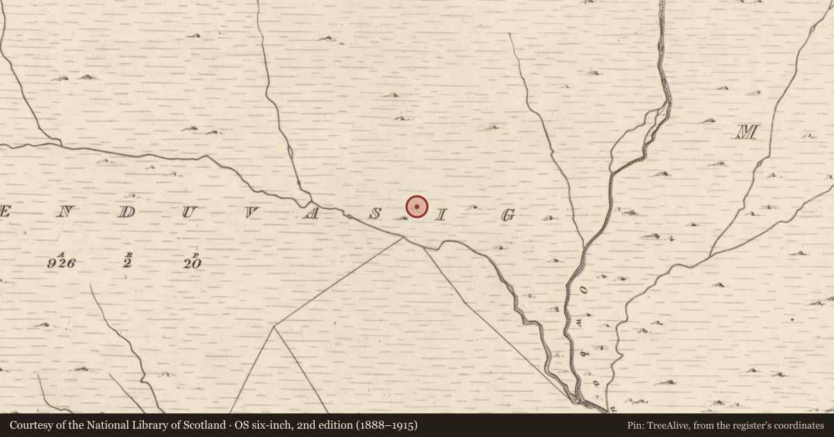 Ordnance Survey six-inch map, 2nd edition (1888–1915) covering the location of Field boundary, Cummeenduvasig, County Kerry, with a pin at the register's coordinates
