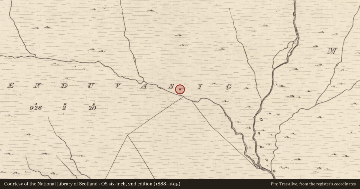 Ordnance Survey six-inch map, 2nd edition (1888–1915) covering the location of Hut site, Cummeenduvasig, County Kerry, with a pin at the register's coordinates