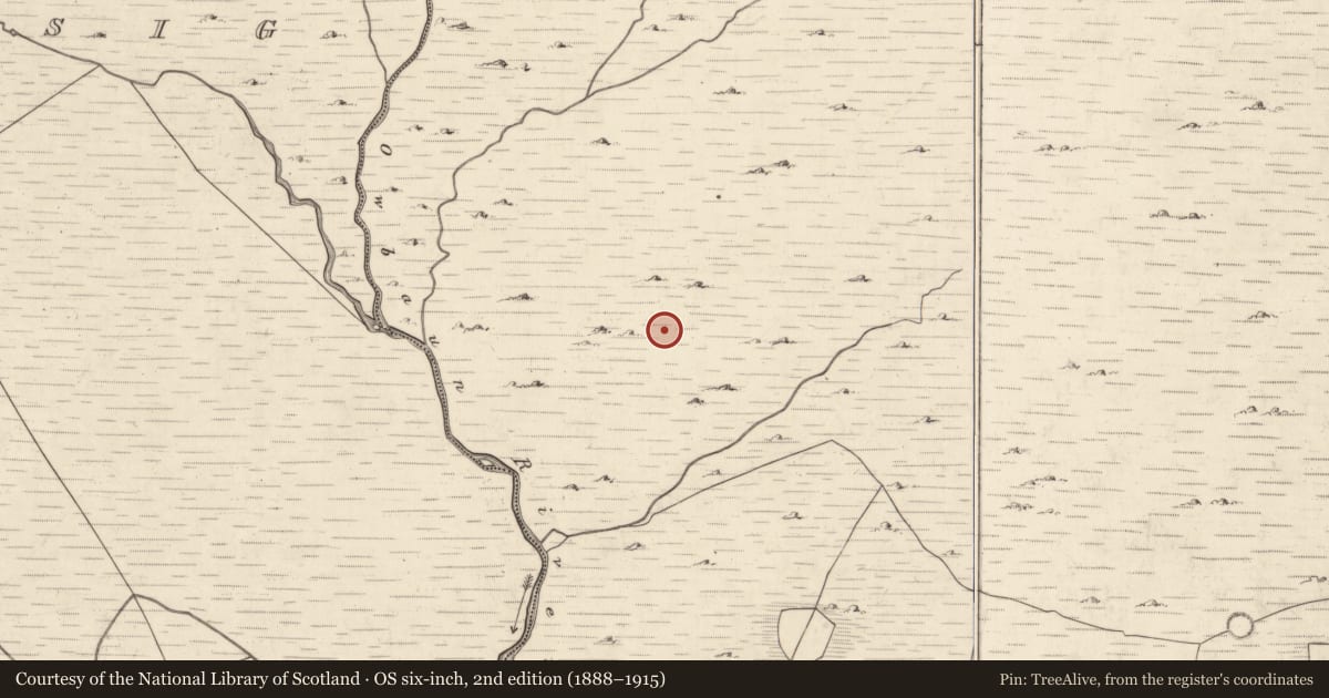 Ordnance Survey six-inch map, 2nd edition (1888–1915) covering the location of Hut site, Mangerton, County Kerry, with a pin at the register's coordinates