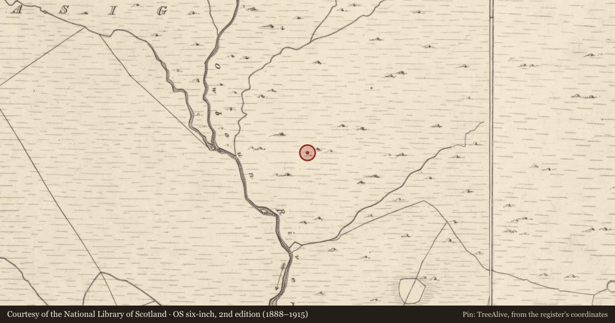 Ordnance Survey six-inch map, 2nd edition (1888–1915) covering the location of Hut site, Mangerton, County Kerry, with a pin at the register's coordinates