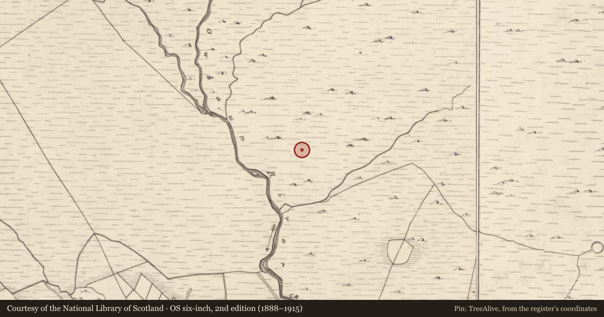 Ordnance Survey six-inch map, 2nd edition (1888–1915) covering the location of Hut site, Mangerton, County Kerry, with a pin at the register's coordinates