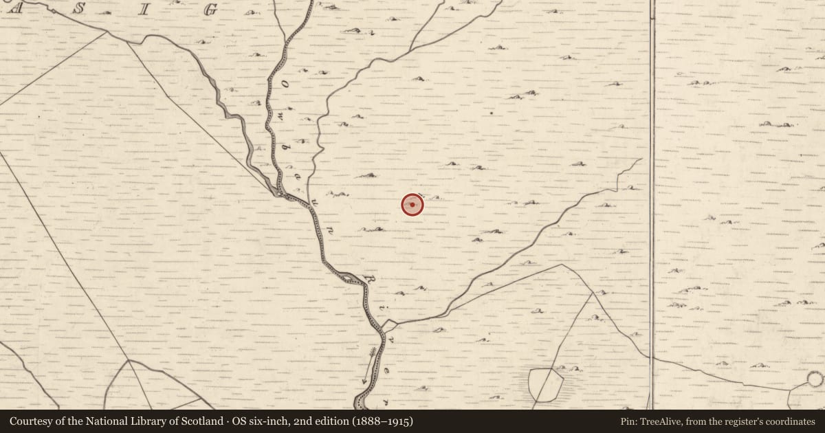 Ordnance Survey six-inch map, 2nd edition (1888–1915) covering the location of Hut site, Mangerton, County Kerry, with a pin at the register's coordinates