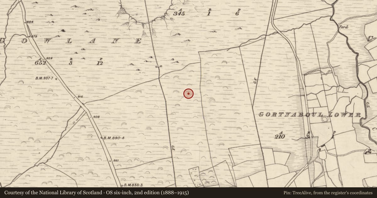 Ordnance Survey six-inch map, 2nd edition (1888–1915) covering the location of Enclosure, Istalea Upper, County Kerry, with a pin at the register's coordinates