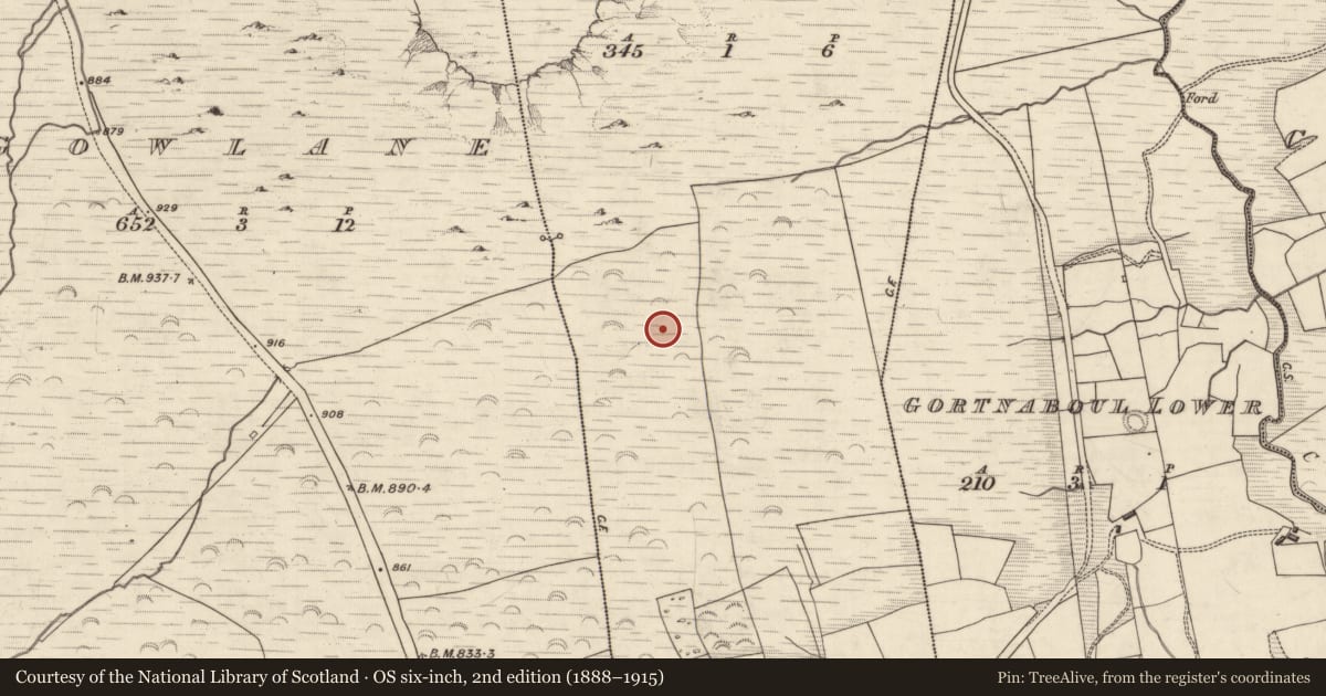 Ordnance Survey six-inch map, 2nd edition (1888–1915) covering the location of Field boundary, Istalea Upper, County Kerry, with a pin at the register's coordinates