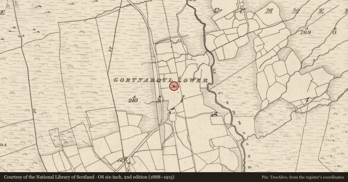 Ordnance Survey six-inch map, 2nd edition (1888–1915) covering the location of Souterrain, Gortnaboul Lower, County Kerry, with a pin at the register's coordinates