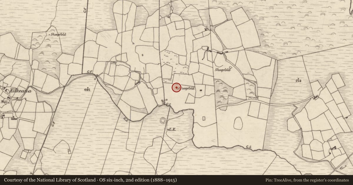 Ordnance Survey six-inch map, 2nd edition (1888–1915) covering the location of Enclosure, Kilcurrane East, County Kerry, with a pin at the register's coordinates