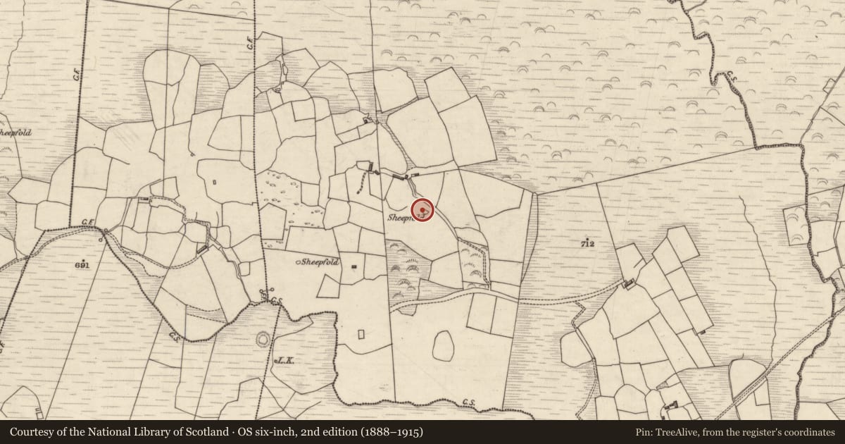 Ordnance Survey six-inch map, 2nd edition (1888–1915) covering the location of Sheepfold, Kilcurrane East, County Kerry, with a pin at the register's coordinates