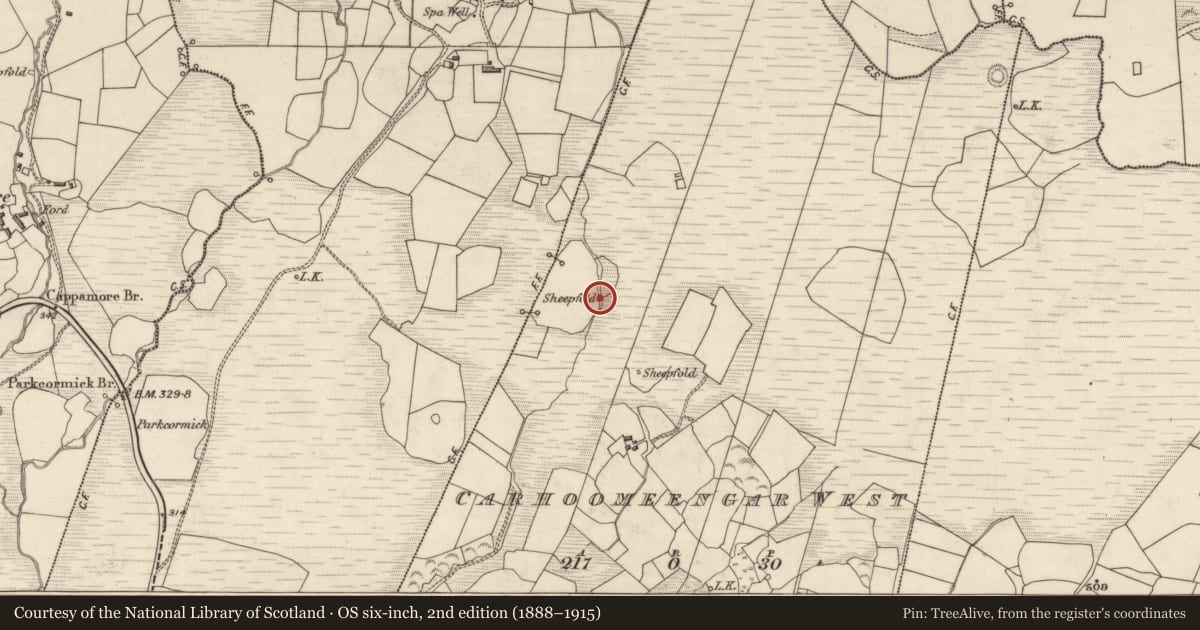 Ordnance Survey six-inch map, 2nd edition (1888–1915) covering the location of Hut site, Carhoomeengar West, County Kerry, with a pin at the register's coordinates