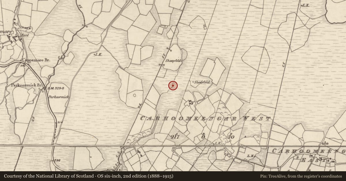 Ordnance Survey six-inch map, 2nd edition (1888–1915) covering the location of Fulacht fia, Carhoomeengar West, County Kerry, with a pin at the register's coordinates
