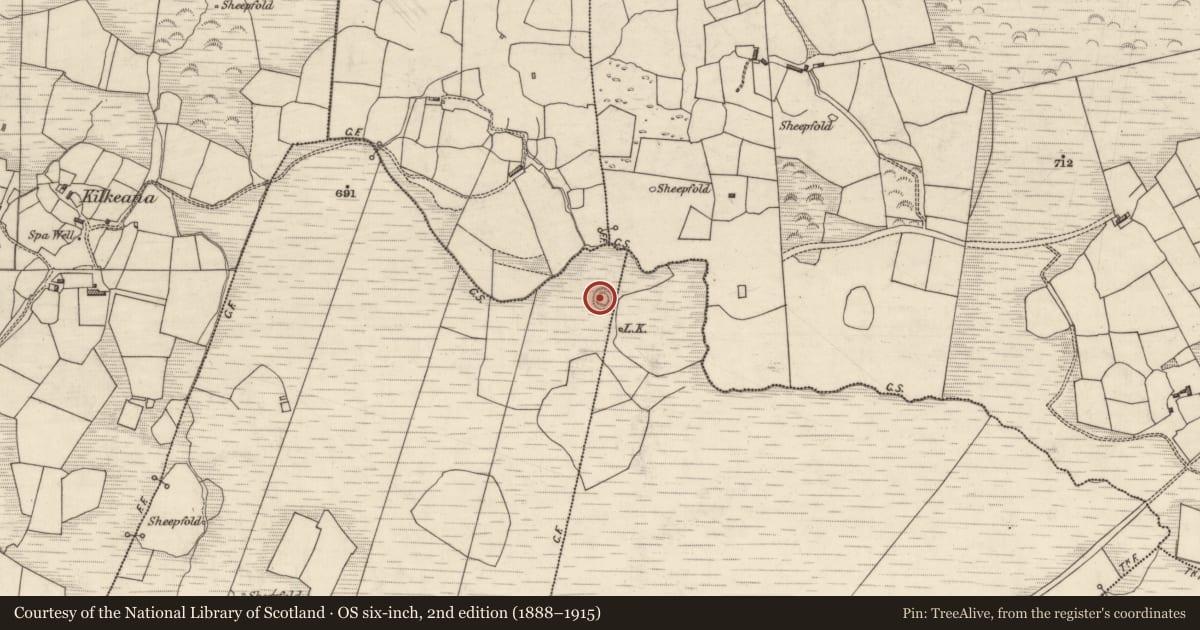 Ordnance Survey six-inch map, 2nd edition (1888–1915) covering the location of Ringfort - rath, Carhoomeengar West, County Kerry, with a pin at the register's coordinates