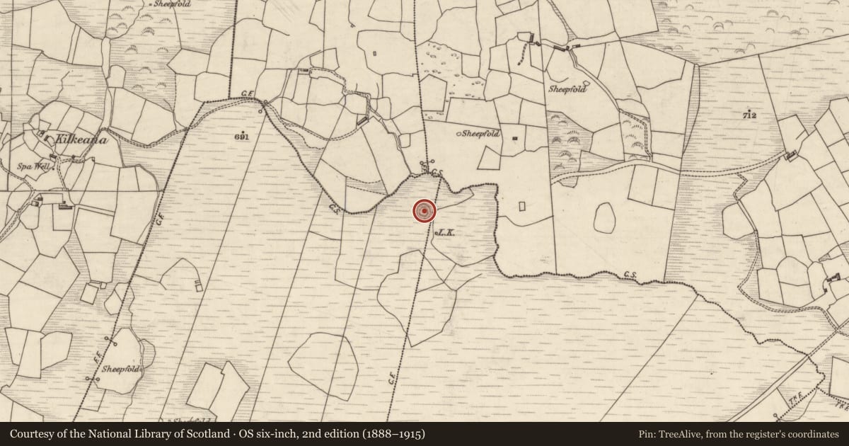 Ordnance Survey six-inch map, 2nd edition (1888–1915) covering the location of Souterrain, Carhoomeengar West, County Kerry, with a pin at the register's coordinates