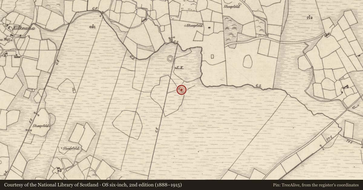 Ordnance Survey six-inch map, 2nd edition (1888–1915) covering the location of Ringfort - rath, Carhoomeengar East, County Kerry, with a pin at the register's coordinates