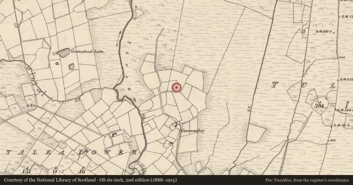 Ordnance Survey six-inch map, 2nd edition (1888–1915) covering the location of Souterrain, Cummeenboy, County Kerry, with a pin at the register's coordinates