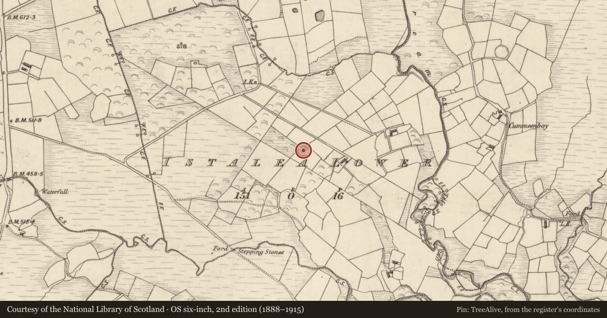 Ordnance Survey six-inch map, 2nd edition (1888–1915) covering the location of Ringfort - rath, Istalea Lower, County Kerry, with a pin at the register's coordinates
