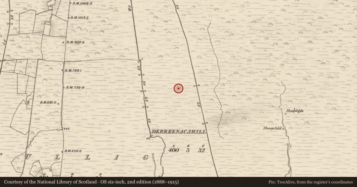 Ordnance Survey six-inch map, 2nd edition (1888–1915) covering the location of Field system, Derreenacahill, County Kerry, with a pin at the register's coordinates