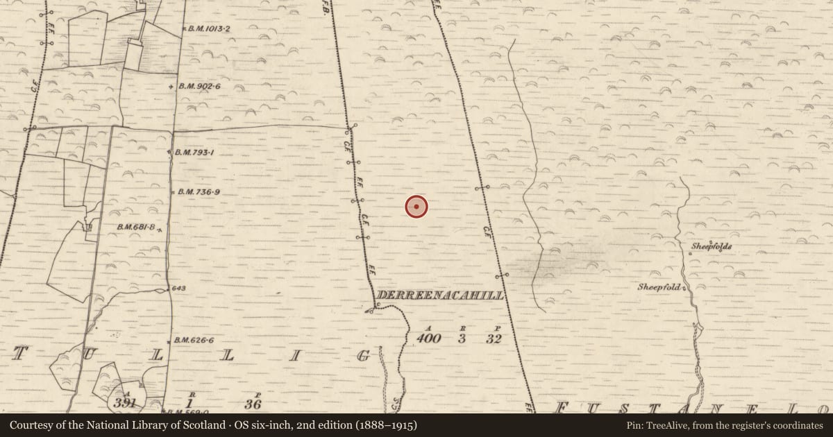 Ordnance Survey six-inch map, 2nd edition (1888–1915) covering the location of Enclosure, Derreenacahill, County Kerry, with a pin at the register's coordinates