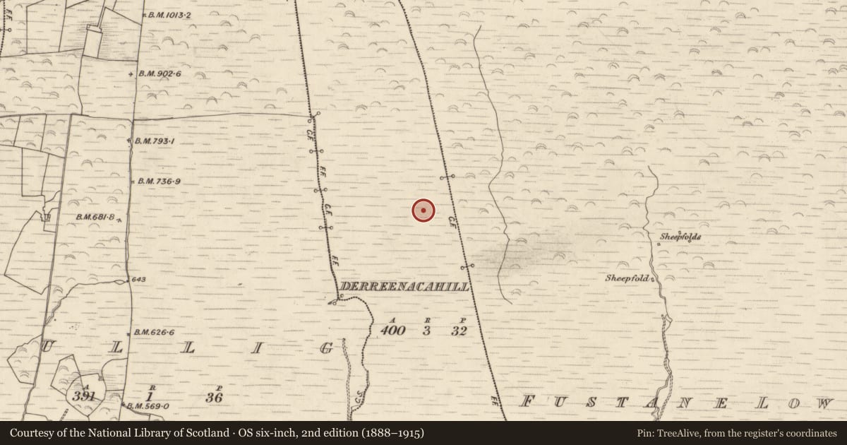 Ordnance Survey six-inch map, 2nd edition (1888–1915) covering the location of Hut site, Derreenacahill, County Kerry, with a pin at the register's coordinates