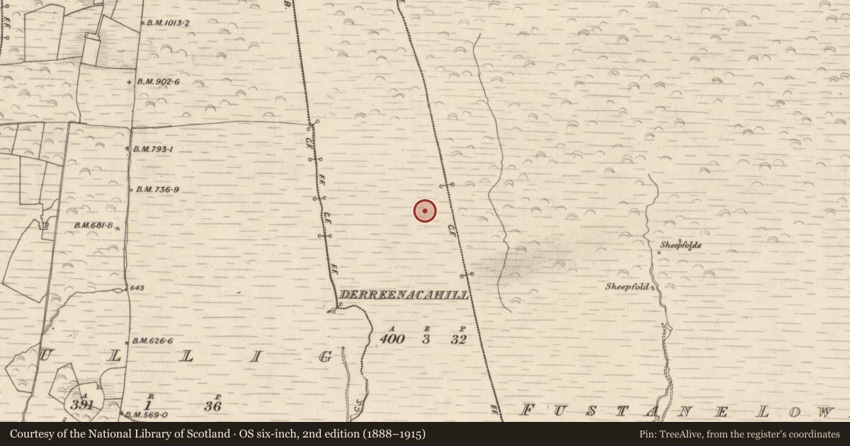Ordnance Survey six-inch map, 2nd edition (1888–1915) covering the location of Hut site, Derreenacahill, County Kerry, with a pin at the register's coordinates