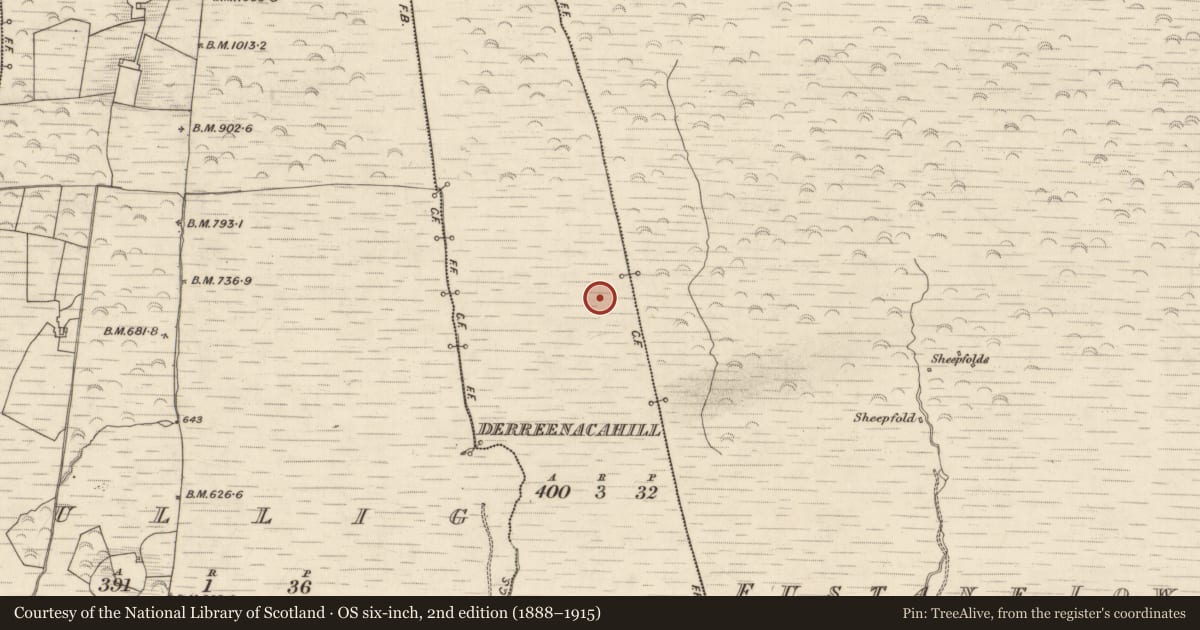 Ordnance Survey six-inch map, 2nd edition (1888–1915) covering the location of Hut site, Derreenacahill, County Kerry, with a pin at the register's coordinates