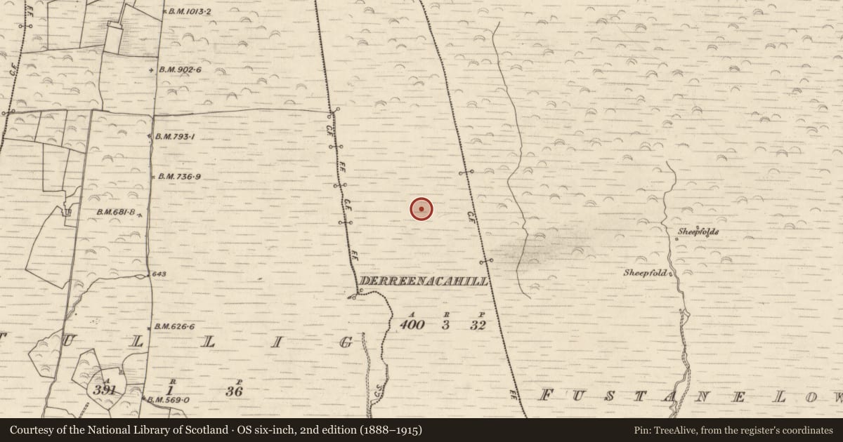 Ordnance Survey six-inch map, 2nd edition (1888–1915) covering the location of Enclosure, Derreenacahill, County Kerry, with a pin at the register's coordinates