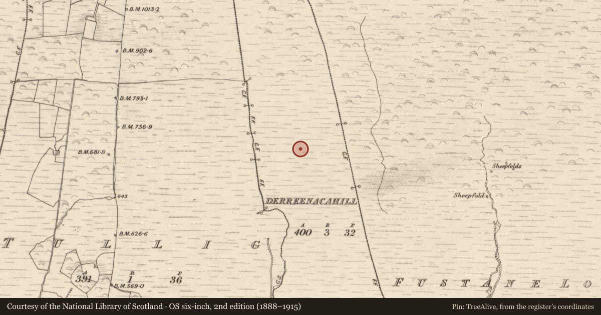 Ordnance Survey six-inch map, 2nd edition (1888–1915) covering the location of Hut site, Derreenacahill, County Kerry, with a pin at the register's coordinates