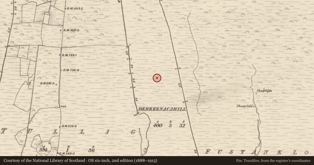 Ordnance Survey six-inch map, 2nd edition (1888–1915) covering the location of Hut site, Derreenacahill, County Kerry, with a pin at the register's coordinates