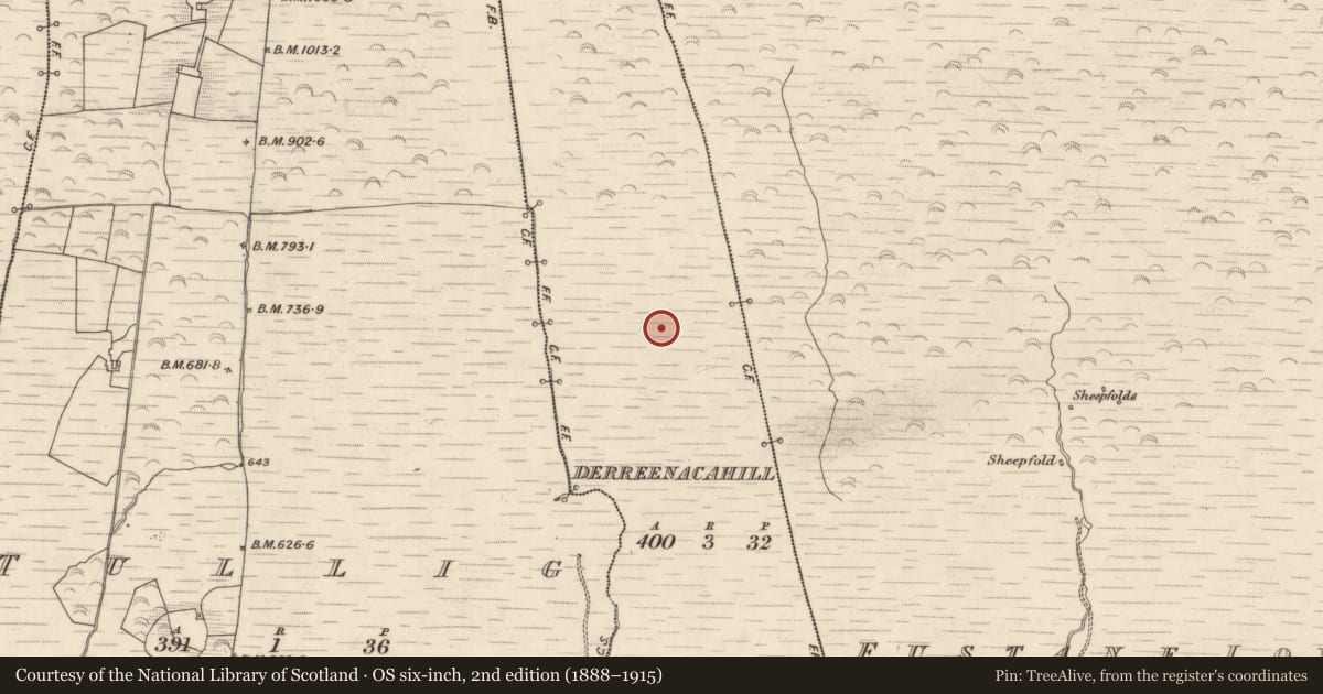 Ordnance Survey six-inch map, 2nd edition (1888–1915) covering the location of Enclosure, Derreenacahill, County Kerry, with a pin at the register's coordinates