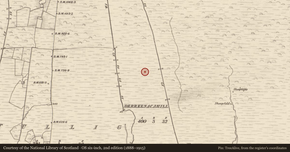 Ordnance Survey six-inch map, 2nd edition (1888–1915) covering the location of Hut site, Derreenacahill, County Kerry, with a pin at the register's coordinates