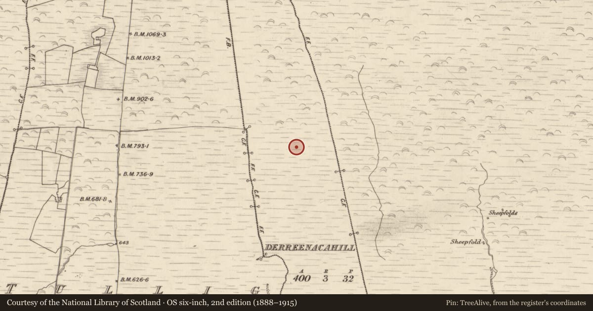 Ordnance Survey six-inch map, 2nd edition (1888–1915) covering the location of Hut site, Derreenacahill, County Kerry, with a pin at the register's coordinates