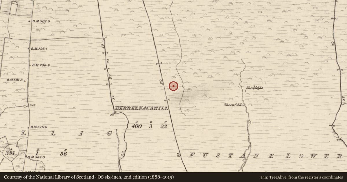 Ordnance Survey six-inch map, 2nd edition (1888–1915) covering the location of Enclosure, Fustane Lower, County Kerry, with a pin at the register's coordinates