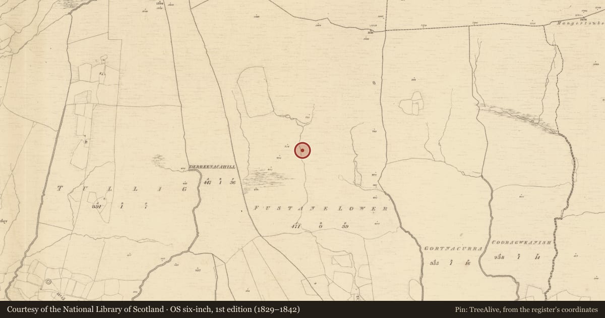 Ordnance Survey six-inch map, 1st edition (1829–1842) covering the location of Hut site, Fustane Lower, County Kerry, with a pin at the register's coordinates