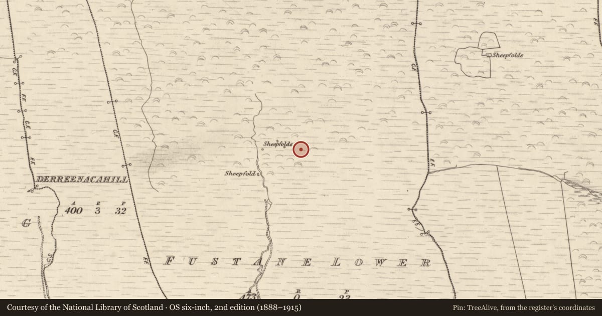 Ordnance Survey six-inch map, 2nd edition (1888–1915) covering the location of Hut site, Fustane Lower, County Kerry, with a pin at the register's coordinates