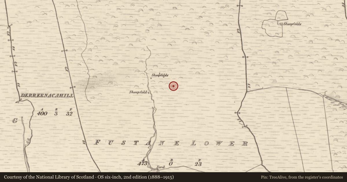 Ordnance Survey six-inch map, 2nd edition (1888–1915) covering the location of Hut site, Fustane Lower, County Kerry, with a pin at the register's coordinates