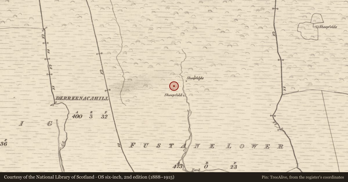 Ordnance Survey six-inch map, 2nd edition (1888–1915) covering the location of Hut site, Fustane Lower, County Kerry, with a pin at the register's coordinates
