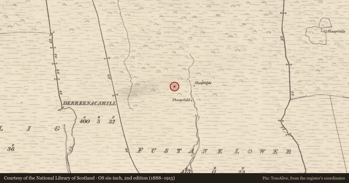 Ordnance Survey six-inch map, 2nd edition (1888–1915) covering the location of Hut site, Fustane Lower, County Kerry, with a pin at the register's coordinates