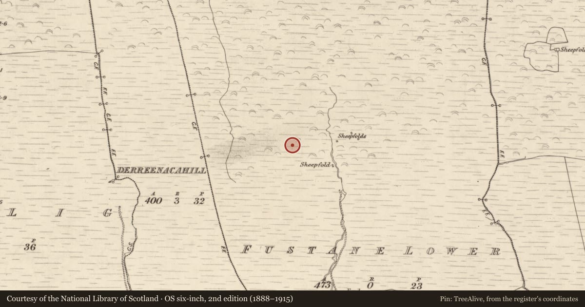 Ordnance Survey six-inch map, 2nd edition (1888–1915) covering the location of Field boundary, Fustane Lower, County Kerry, with a pin at the register's coordinates