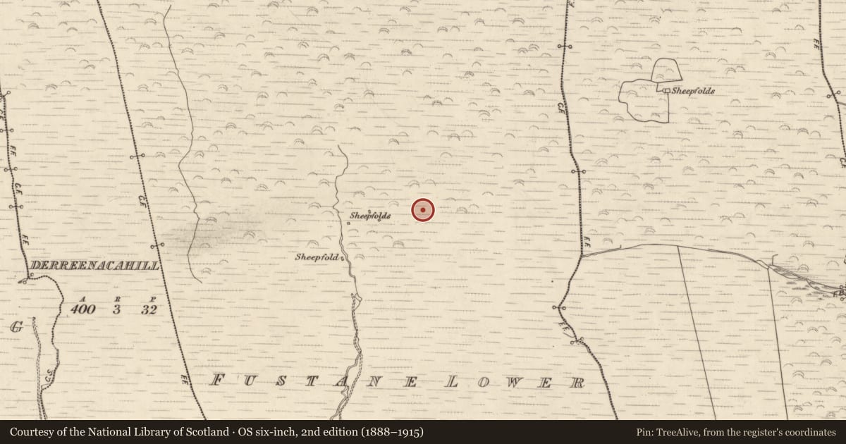 Ordnance Survey six-inch map, 2nd edition (1888–1915) covering the location of Field boundary, Fustane Lower, County Kerry, with a pin at the register's coordinates