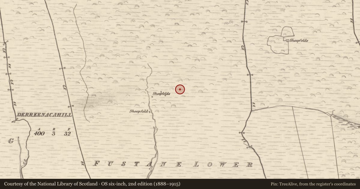 Ordnance Survey six-inch map, 2nd edition (1888–1915) covering the location of Hut site, Fustane Lower, County Kerry, with a pin at the register's coordinates