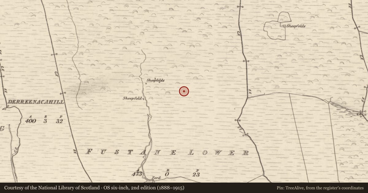 Ordnance Survey six-inch map, 2nd edition (1888–1915) covering the location of Hut site, Fustane Lower, County Kerry, with a pin at the register's coordinates