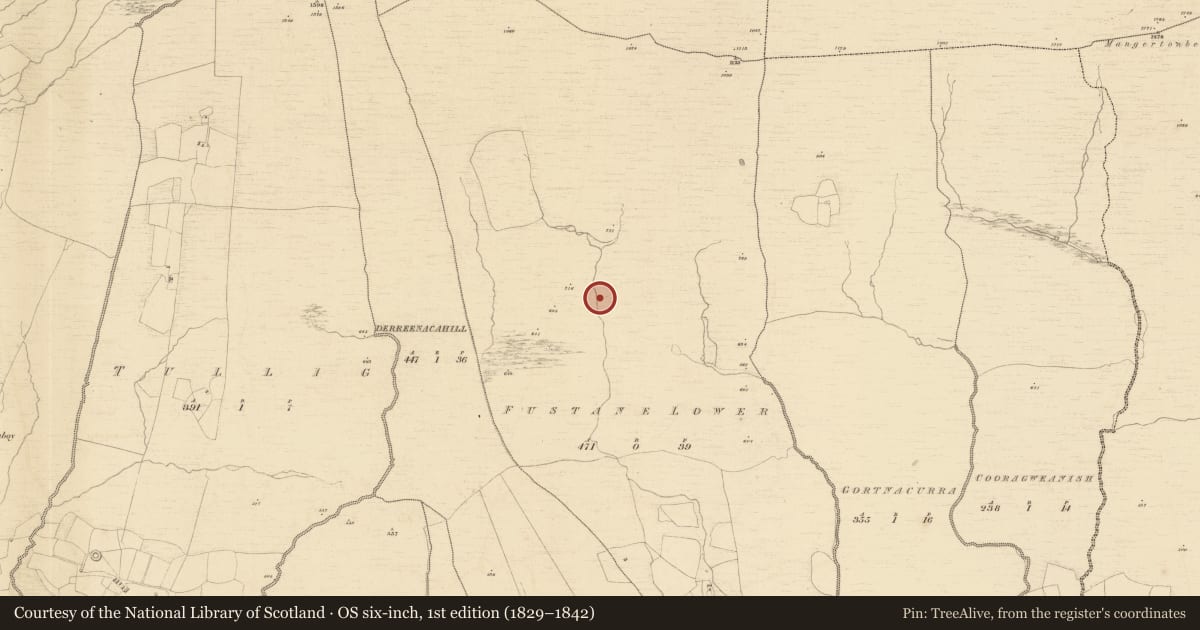 Ordnance Survey six-inch map, 1st edition (1829–1842) covering the location of Hut site, Fustane Lower, County Kerry, with a pin at the register's coordinates
