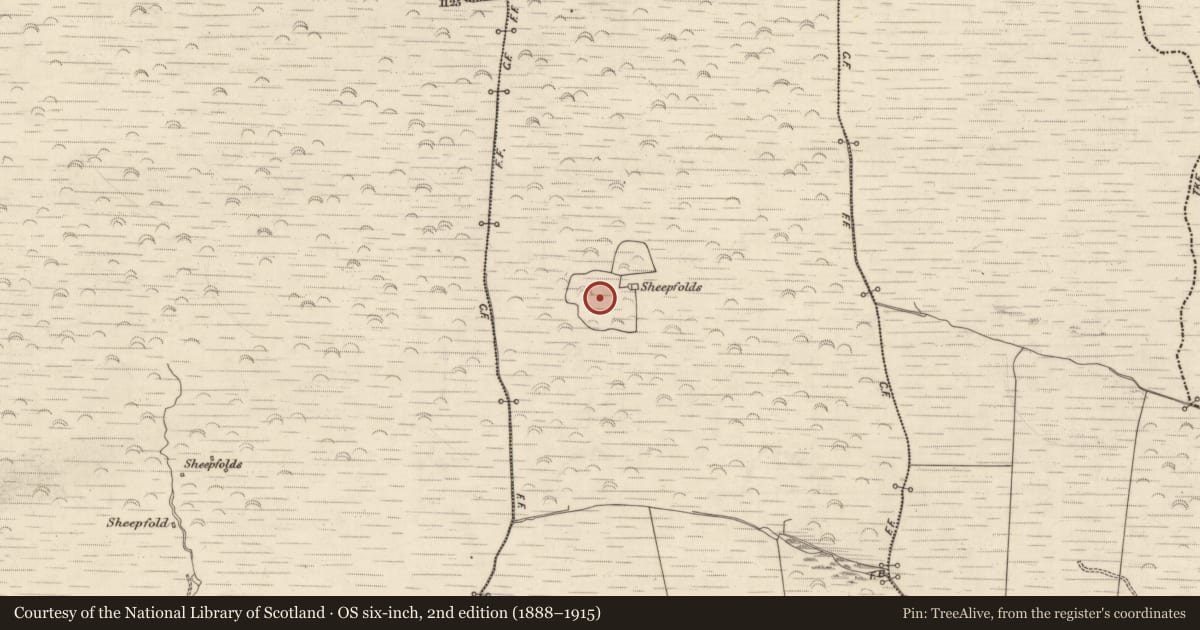 Ordnance Survey six-inch map, 2nd edition (1888–1915) covering the location of Enclosure, Gortnacurra, County Kerry, with a pin at the register's coordinates