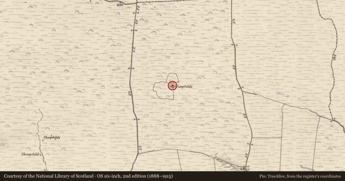 Ordnance Survey six-inch map, 2nd edition (1888–1915) covering the location of Hut site, Gortnacurra, County Kerry, with a pin at the register's coordinates