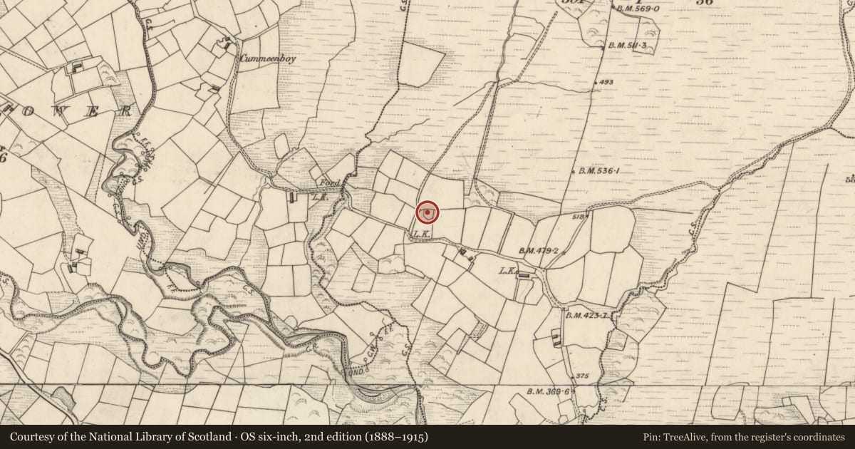 Ordnance Survey six-inch map, 2nd edition (1888–1915) covering the location of Ringfort - rath, Tullig, County Kerry, with a pin at the register's coordinates