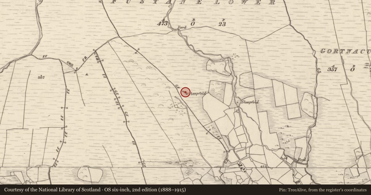 Ordnance Survey six-inch map, 2nd edition (1888–1915) covering the location of Hut site, Fustane Lower, County Kerry, with a pin at the register's coordinates