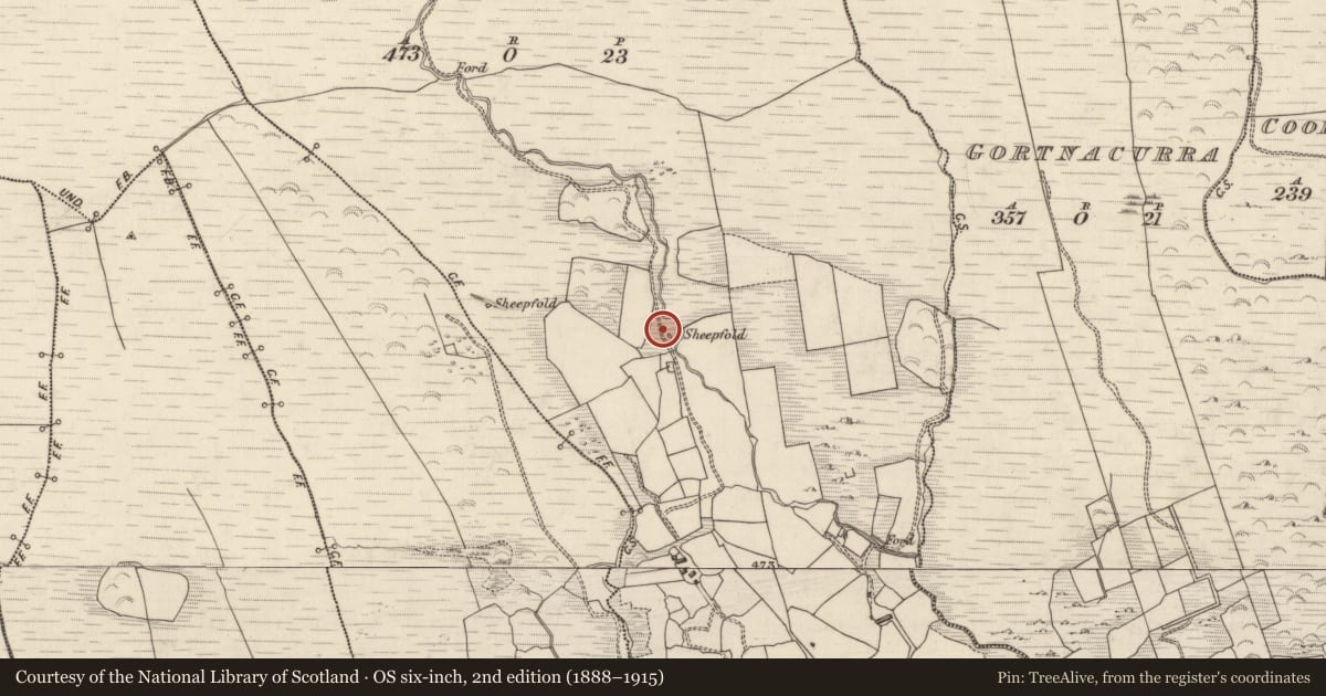 Ordnance Survey six-inch map, 2nd edition (1888–1915) covering the location of Enclosure, Fustane Lower, County Kerry, with a pin at the register's coordinates