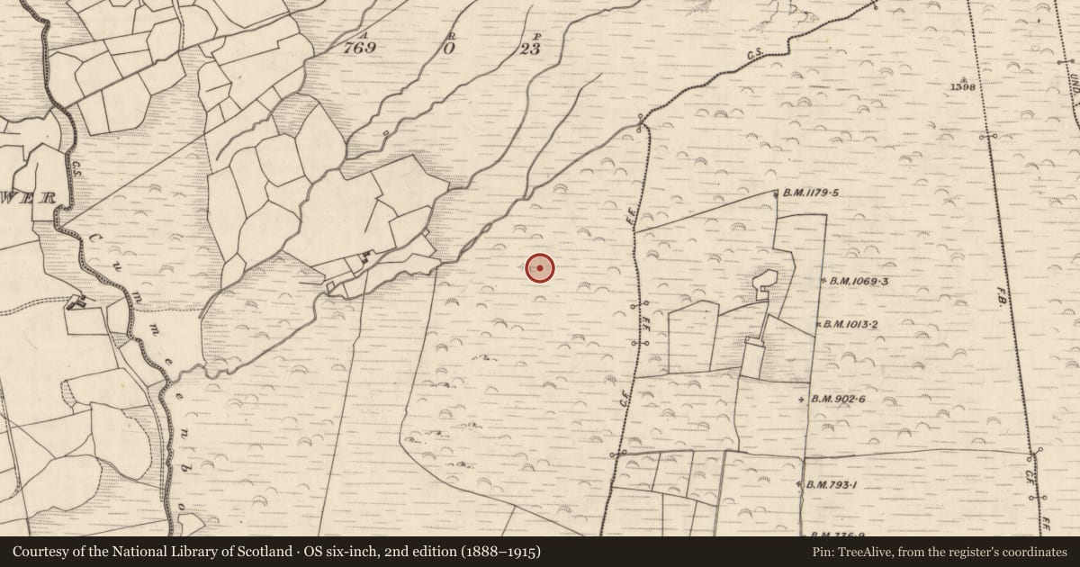 Ordnance Survey six-inch map, 2nd edition (1888–1915) covering the location of Hut site, Cummeenboy, County Kerry, with a pin at the register's coordinates