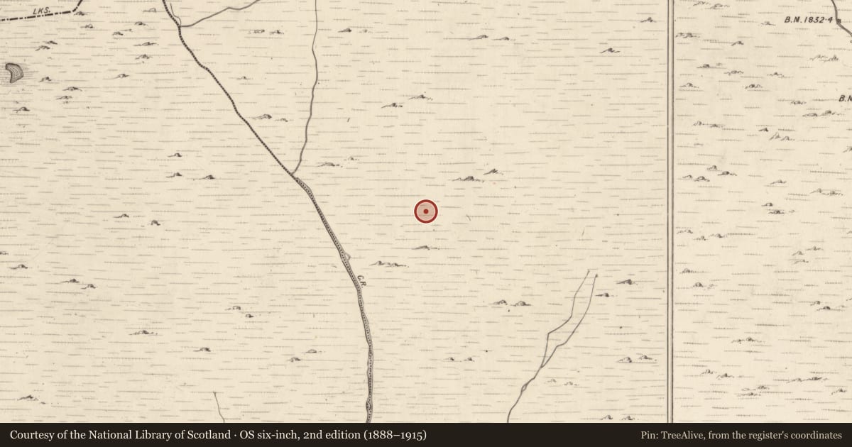 Ordnance Survey six-inch map, 2nd edition (1888–1915) covering the location of Hut site, Mangerton, County Kerry, with a pin at the register's coordinates