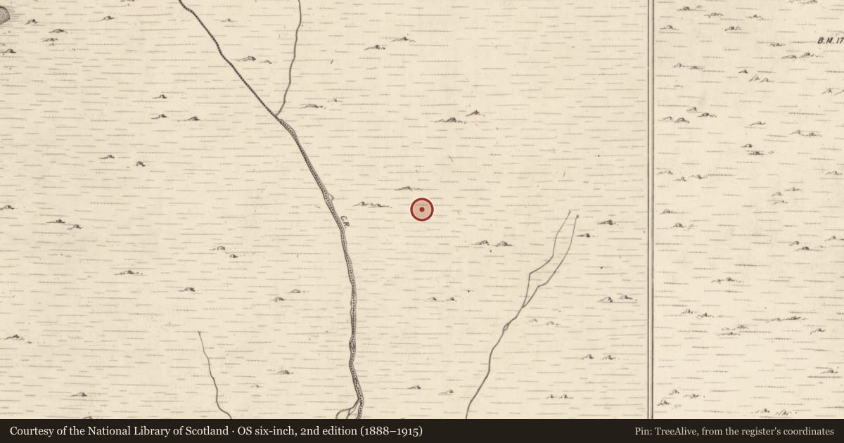 Ordnance Survey six-inch map, 2nd edition (1888–1915) covering the location of Hut site, Mangerton, County Kerry, with a pin at the register's coordinates